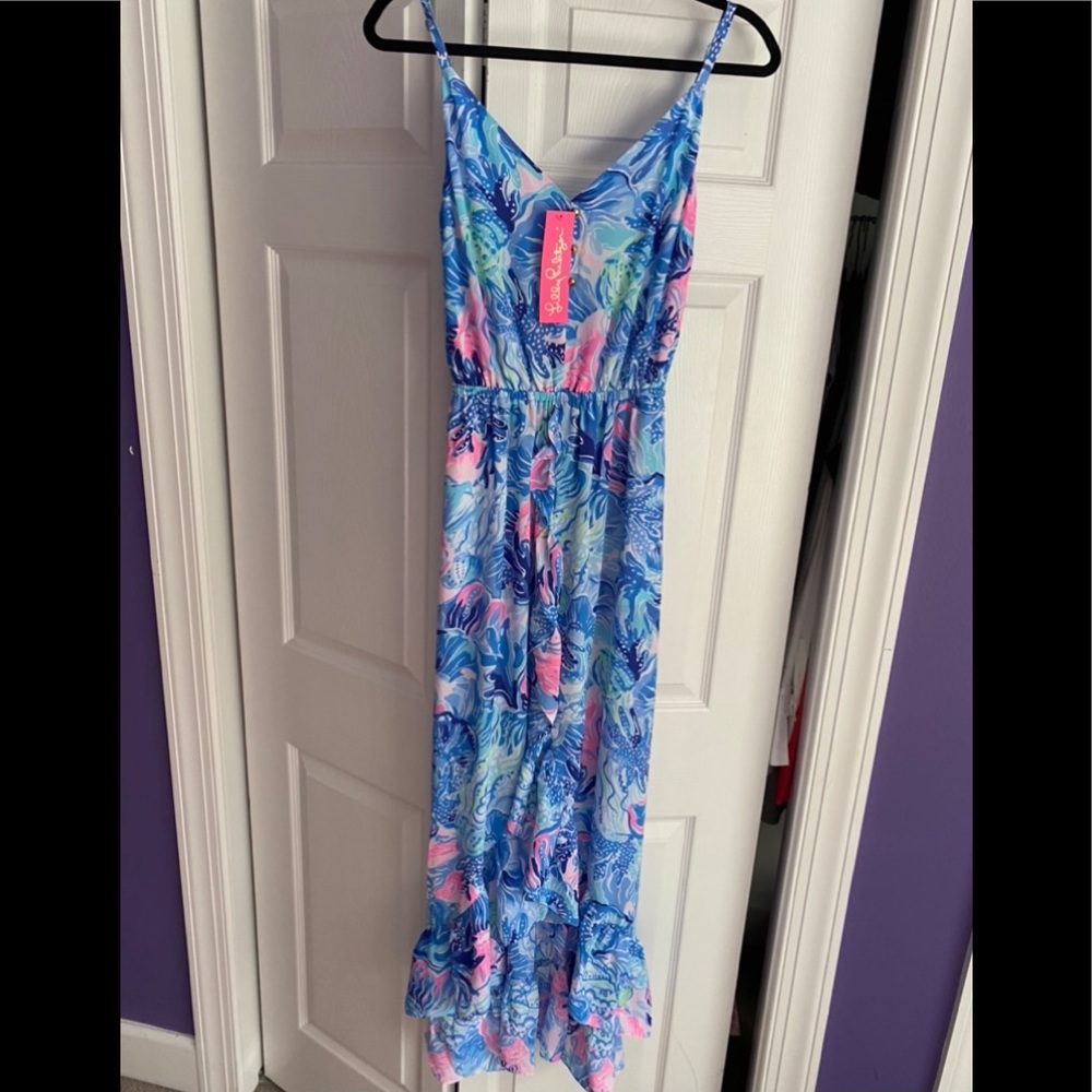 Lilly Pulitzer Maxi Dress